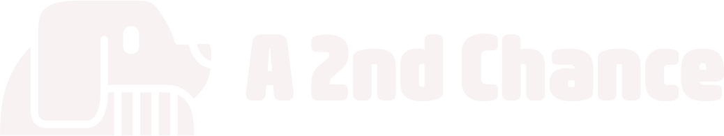 Logo of 2nd Chance